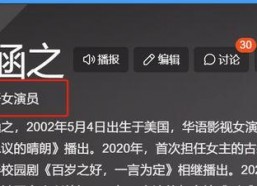 国产a网,引领潮流的本土创新力量