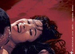 国产19禁,揭秘禁忌之下的激情与挑战