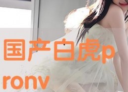 pron国产在线,Pron国产在线引领潮流