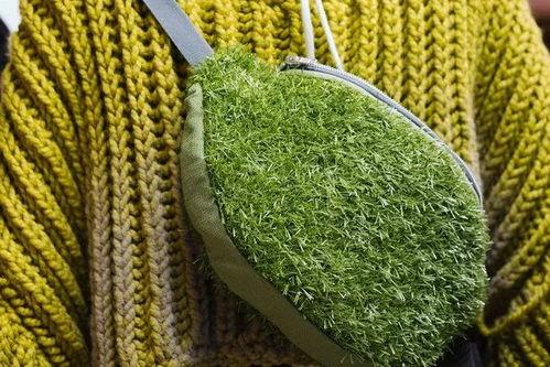 青青青草国产,探寻青青青草国的绿色奇迹