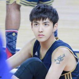 娱乐吃瓜君鹿晨辉