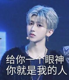 娱乐吃瓜姐蔡徐坤小说