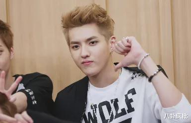 吃瓜娱乐圈任豪是谁啊,娱乐圈新晋“瓜王”的崛起之路